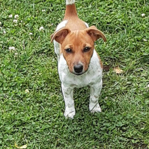 Meet your Posher, Phyllis